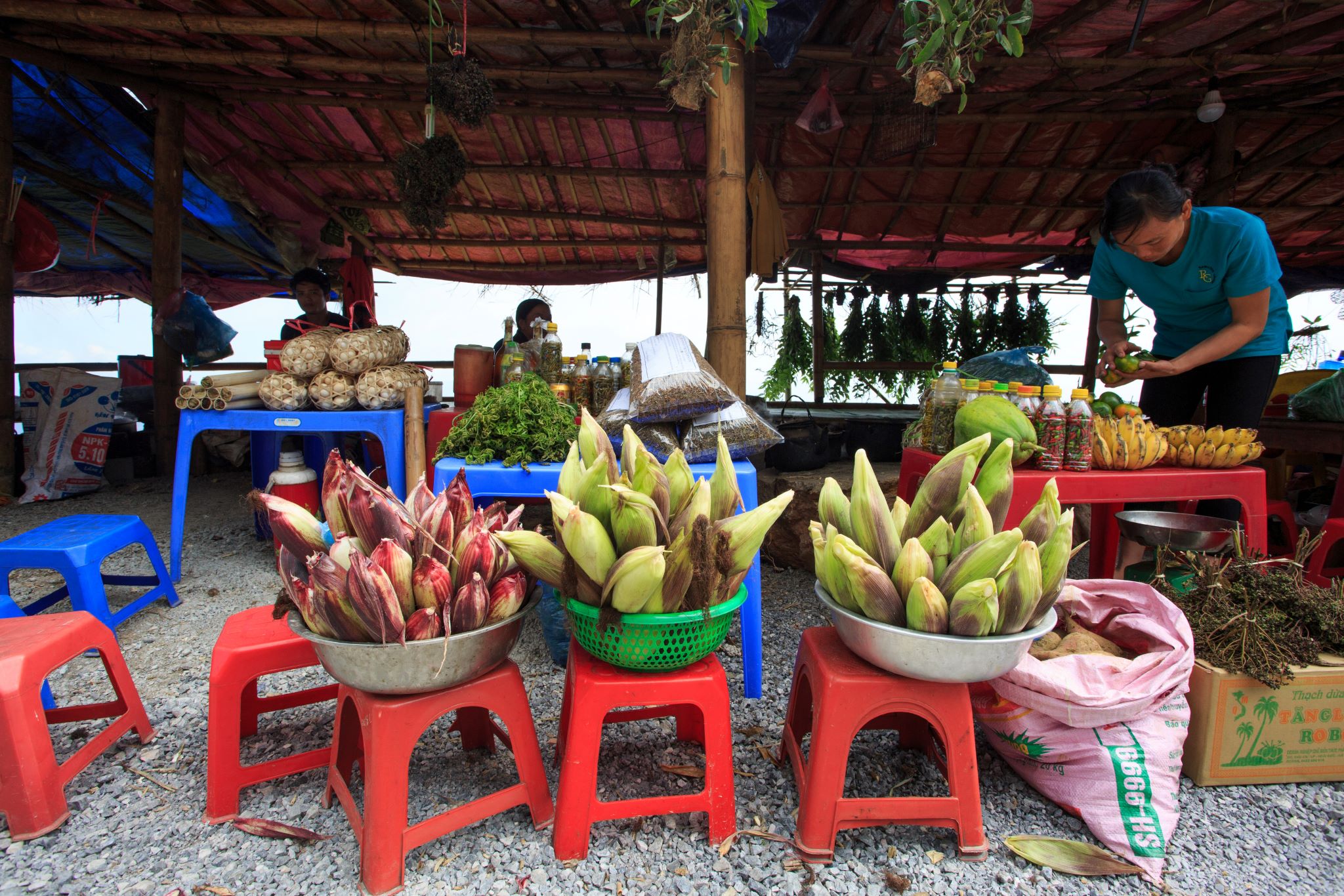 Sunday Market 01.