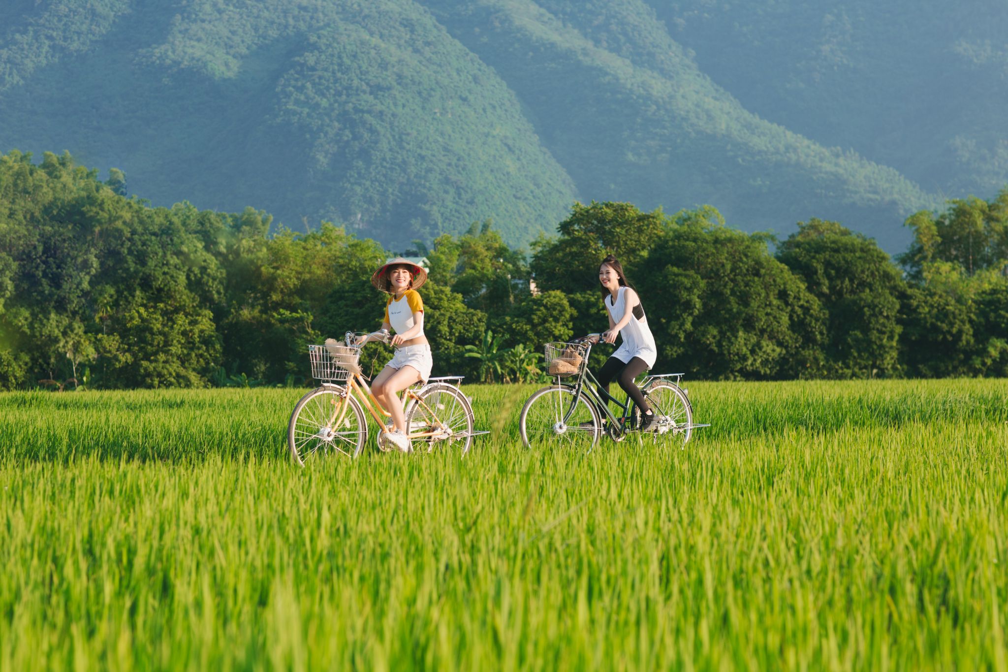 Du khách đạp xe giữa cánh đồng lúa Mai Châu